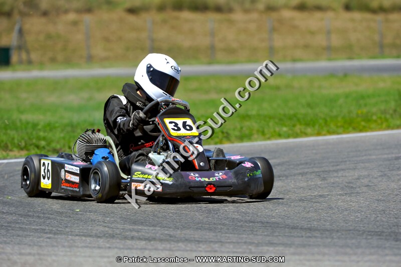 DSC_ (1453).jpg